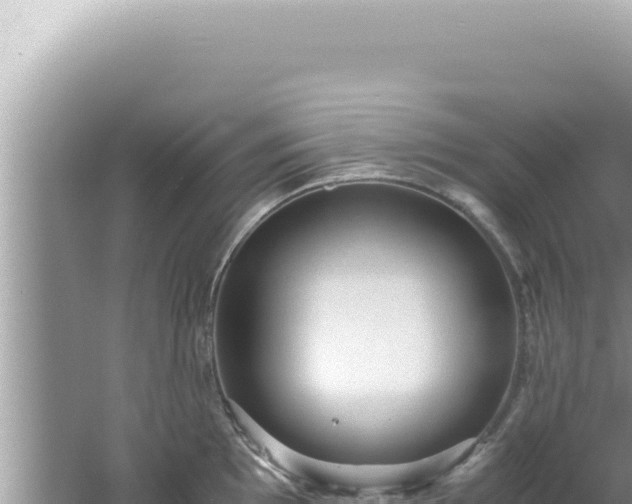 X0000061721097200512091954