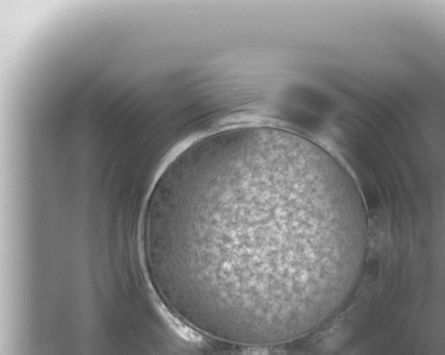 X0000061721098200512091954