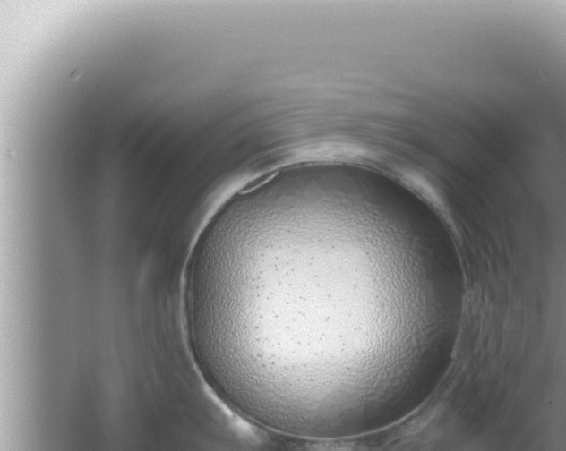 X0000061721103200512091954