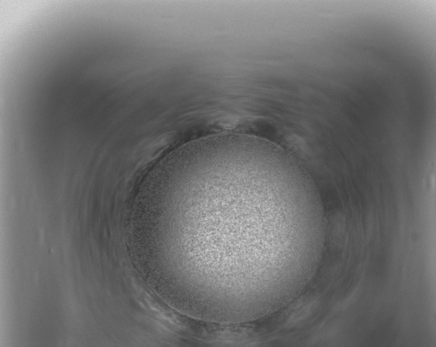 X0000061721105200512091953