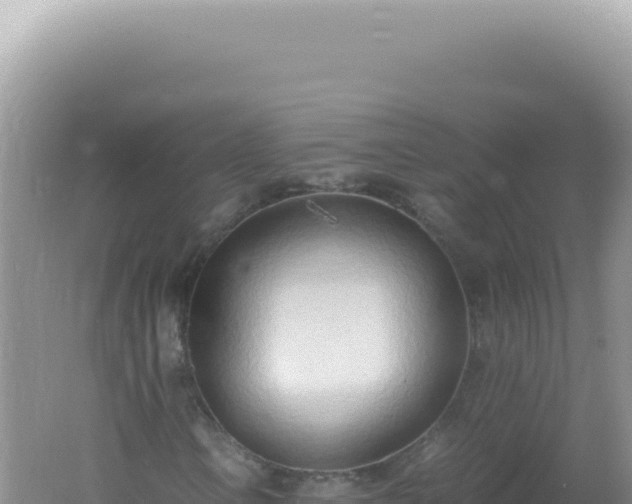 X0000061721106200512091953