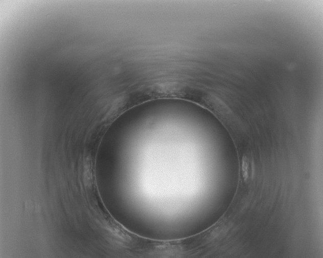 X0000061721107200512091953