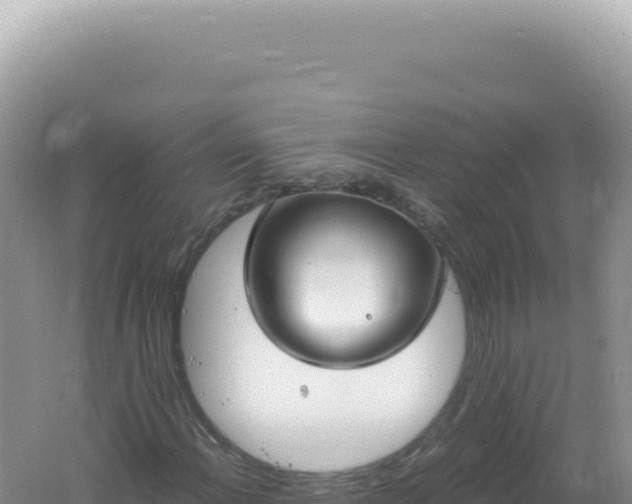 X0000061721108200512091953