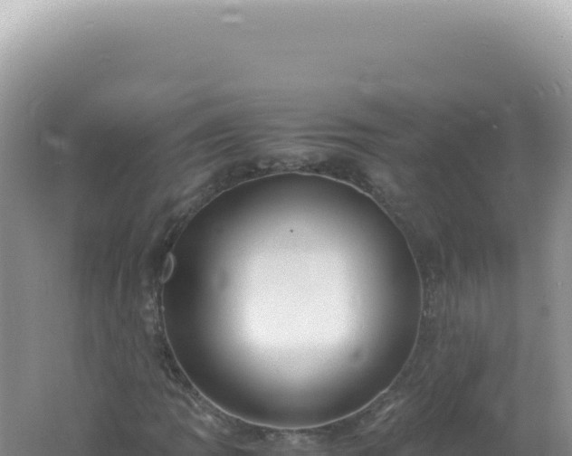 X0000061721109200512091953