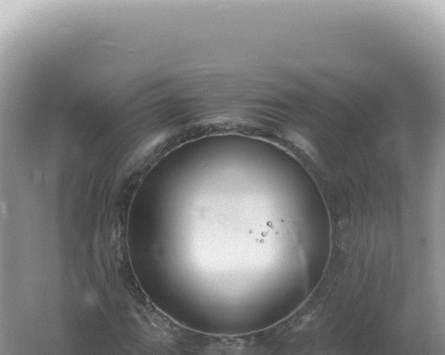 X0000061721111200512091953