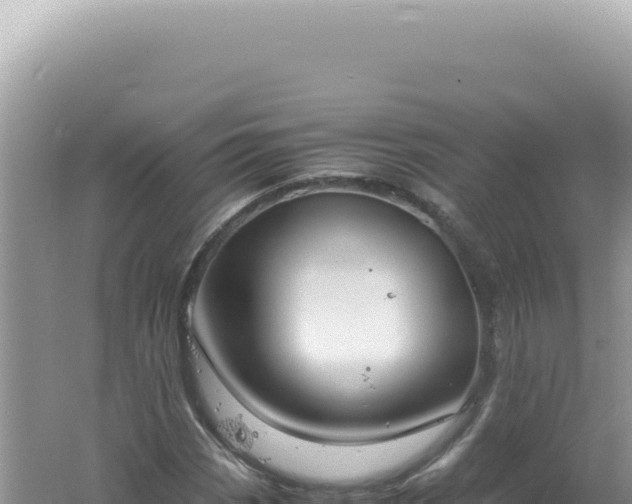 X0000061721113200512091953