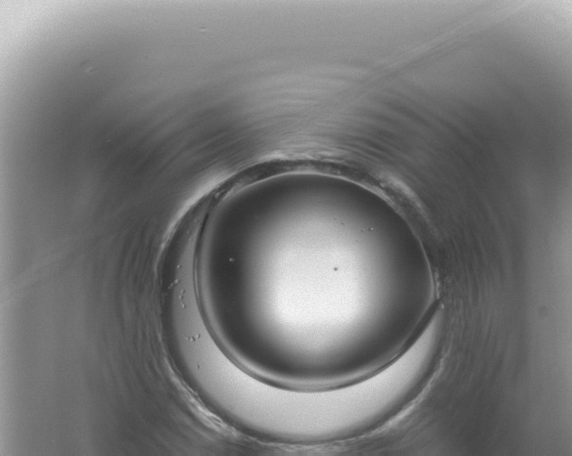 X0000061721114200512091953