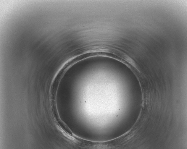 X0000061721116200512091953