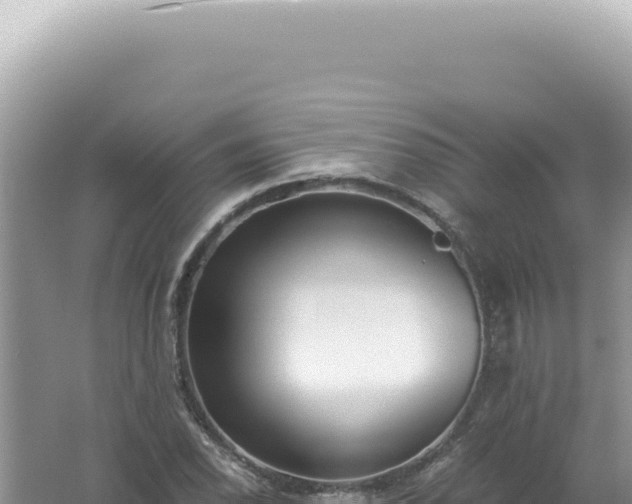 X0000061721118200512091953