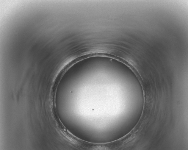 X0000061721119200512091953