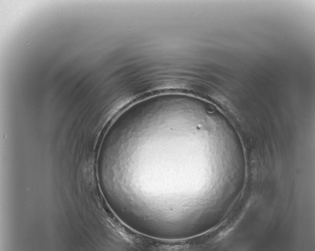 X0000061721121200512091953