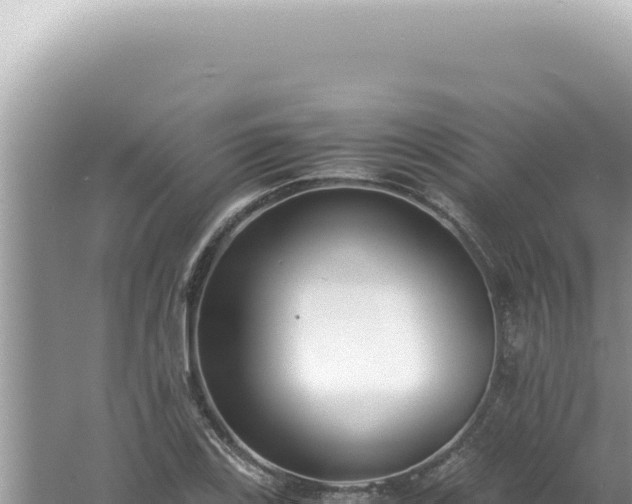 X0000061721123200512091953