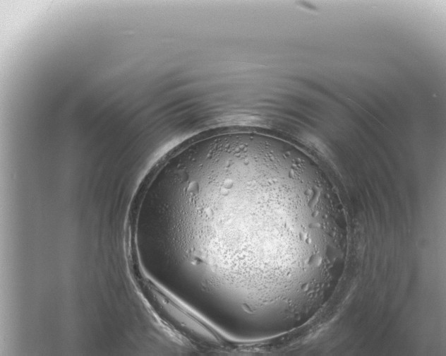 X0000061721125200512091953