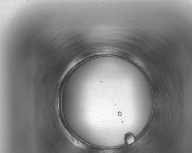 X0000061721130200512091953