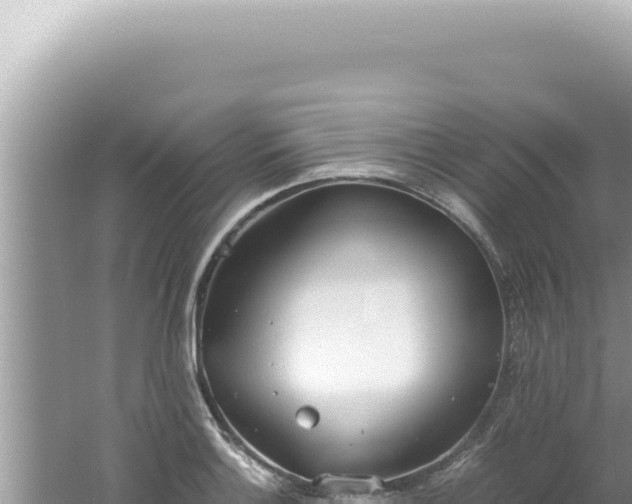 X0000061721132200512091953