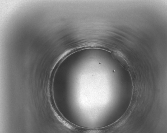 X0000061721134200512091953