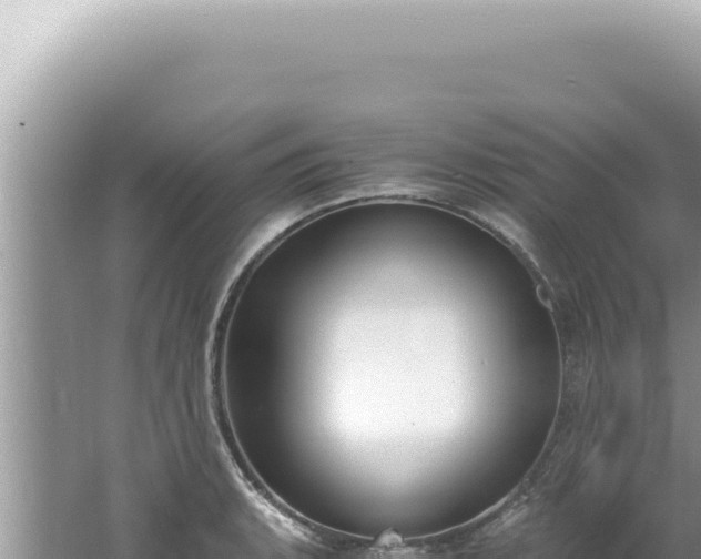 X0000061721135200512091953