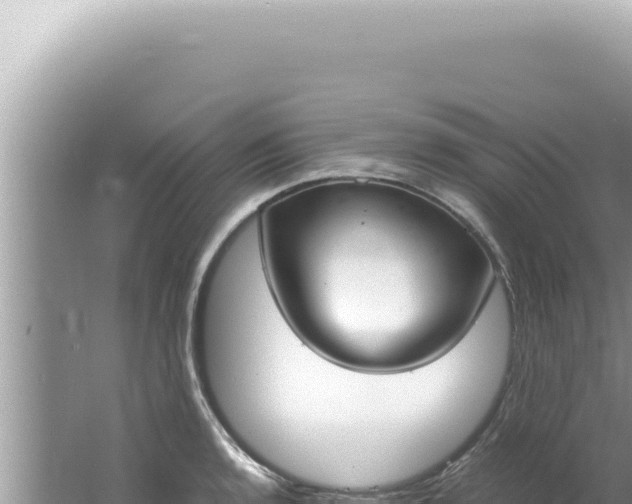 X0000061721136200512091953