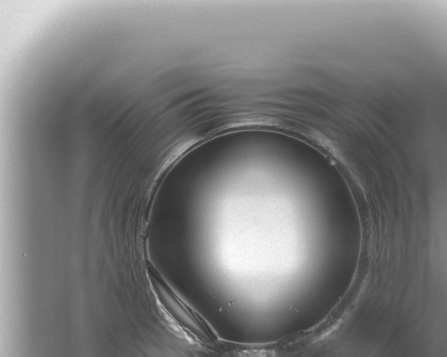 X0000061721137200512091953