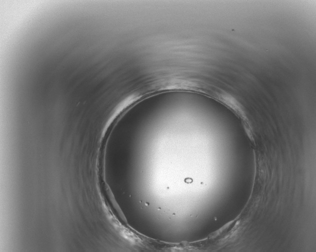 X0000061721138200512091953