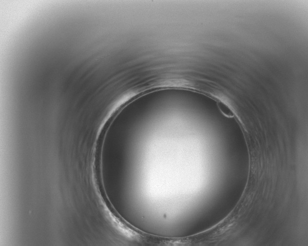 X0000061721139200512091953