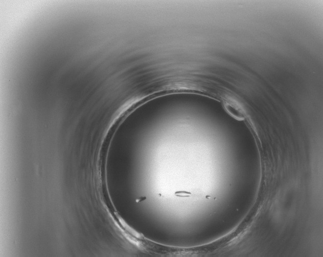 X0000061721141200512091953