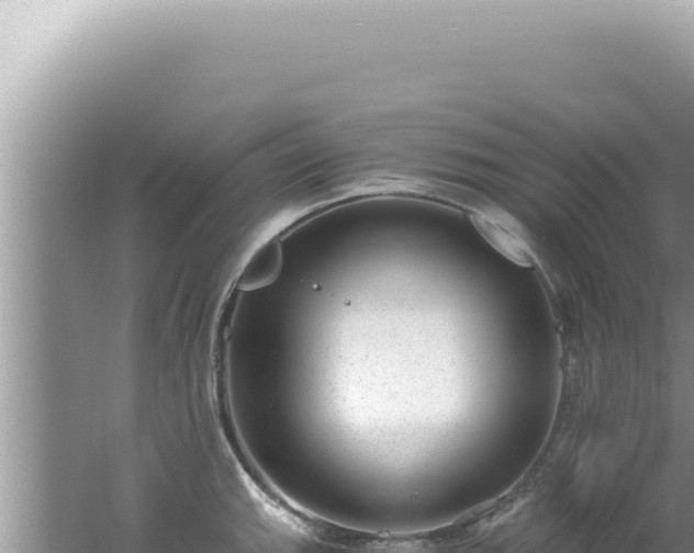 X0000061721143200512091953