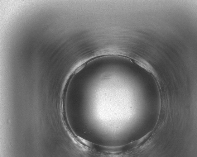 X0000061721144200512091954