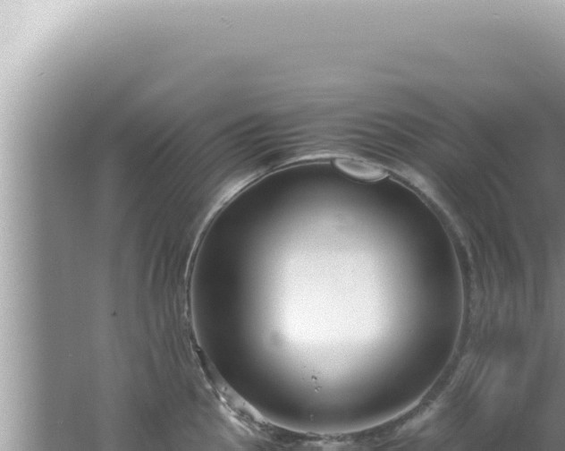 X0000061721145200512091954