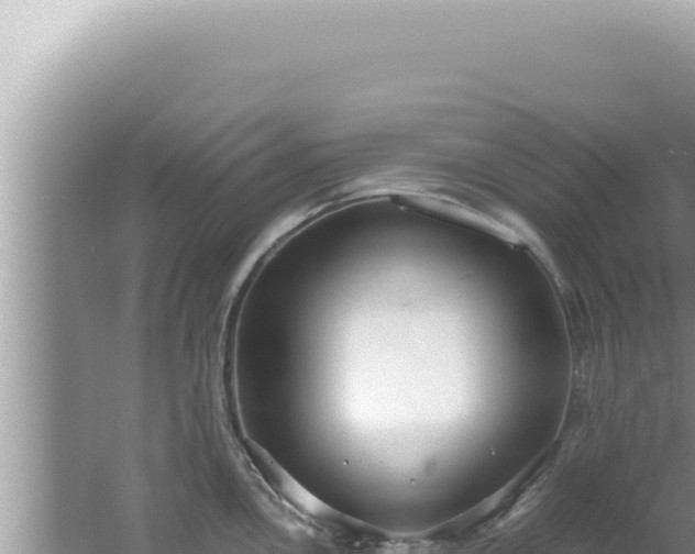 X0000061721146200512091954