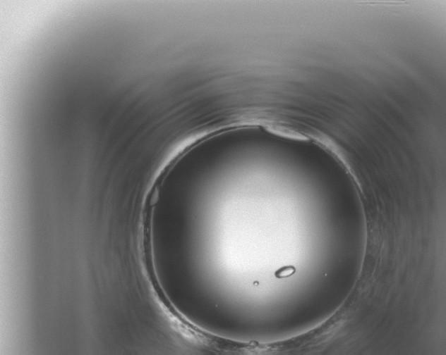 X0000061721147200512091954