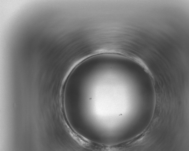 X0000061721148200512091954