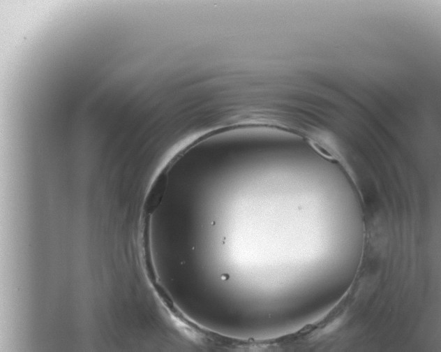 X0000061721149200512091954