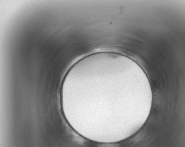 X0000061721150200512091954