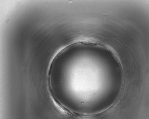 X0000061721152200512091954