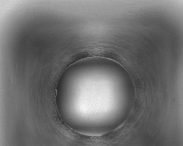 X0000061721153200512091953