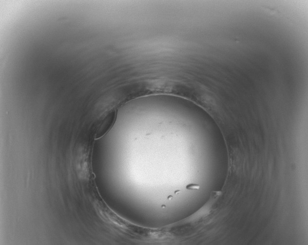 X0000061721154200512091953