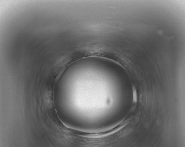 X0000061721156200512091953