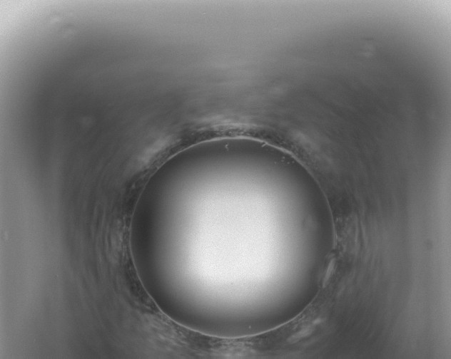 X0000061721157200512091953