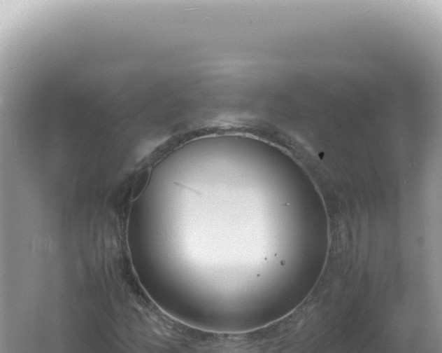 X0000061721158200512091953