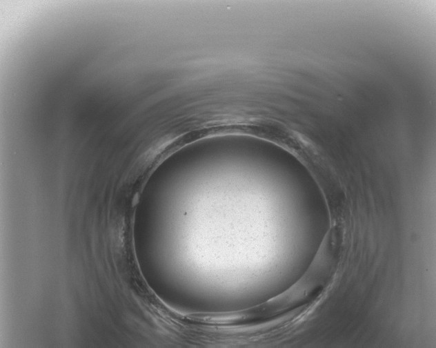 X0000061721161200512091953