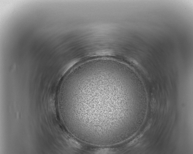 X0000061721162200512091953