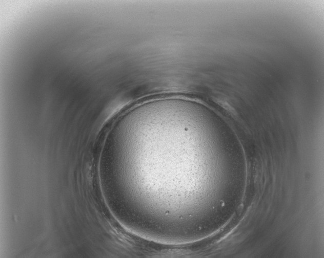 X0000061721163200512091953