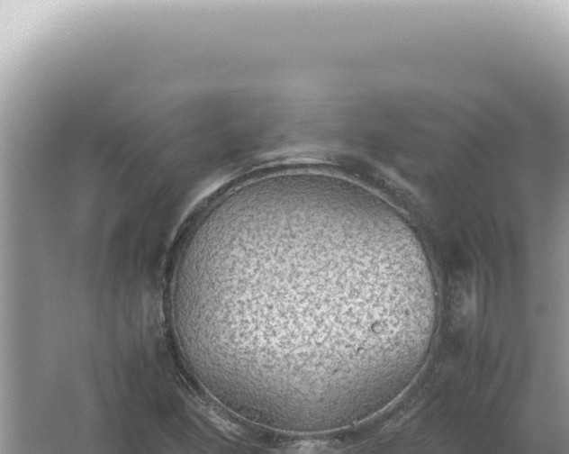 X0000061721166200512091953