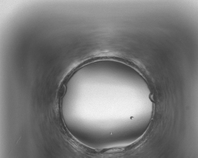 X0000061721167200512091953