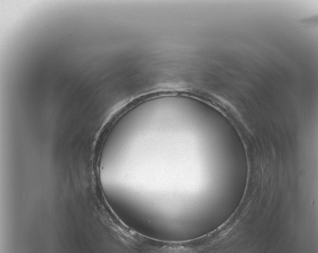 X0000061721168200512091953