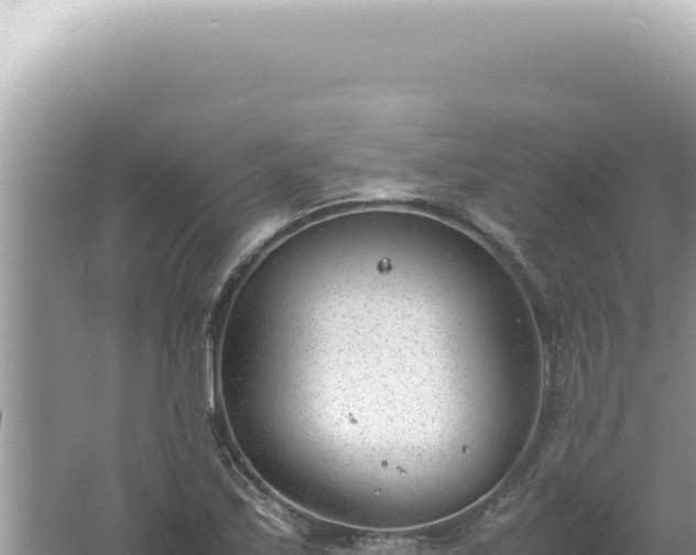 X0000061721171200512091953