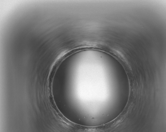 X0000061721172200512091953