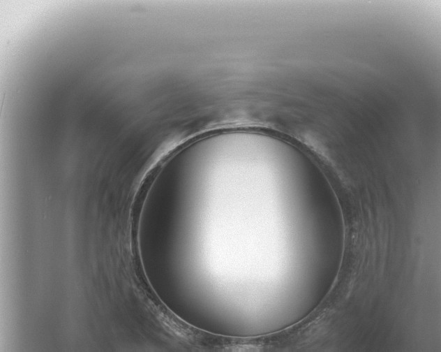 X0000061721173200512091953