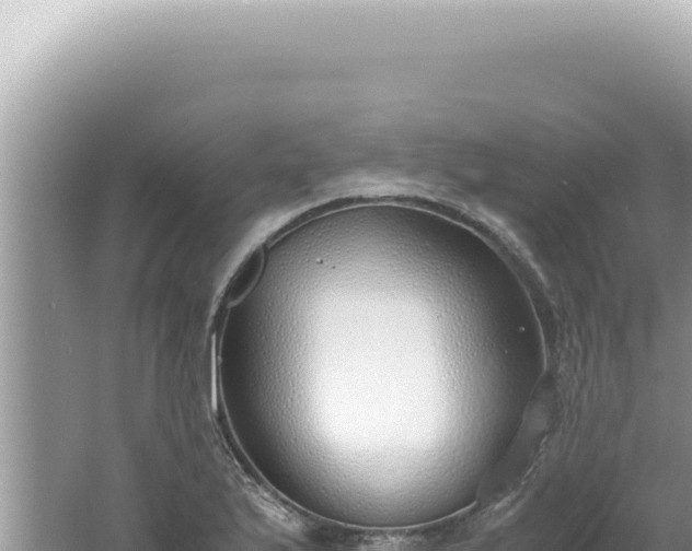 X0000061721175200512091952